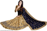 Fashion Dictionary Designer Embroidery Women Saree