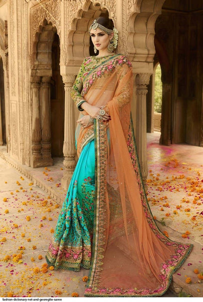 Fashion Dictionary Net and Georegtte Saree