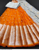 Pure Organza Sequence Work Lehenga Choli