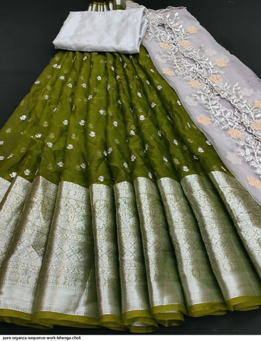 Pure Organza Sequence Work Lehenga Choli